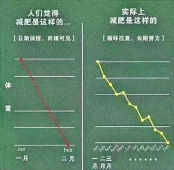 -Lily纤美·科技减脂中心