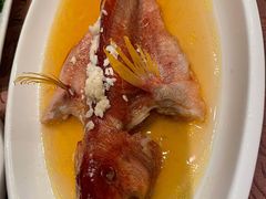 酒香蒸鲥鱼-东方明珠老上海8号餐厅(东方明珠广播电视塔店)