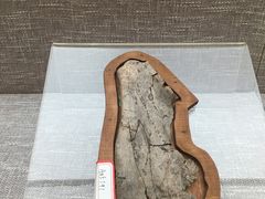 -安阳博物馆