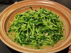 -纯阳•六两酒馆