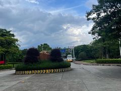 -风云岭森林公园