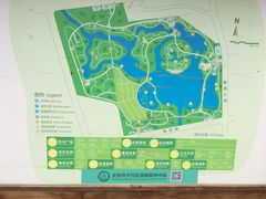 -大兴滨河森林公园