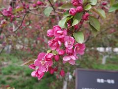 -元大都城垣遗址公园