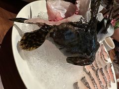 -揽季锅物会.福建黄鱼.海鲜姿造(五四路店)