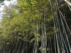 -汇龙潭