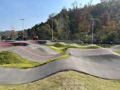 -千年银杏谷文化旅游区