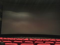 放映厅-万达影城(长沙婚庆公园中国巨幕店)