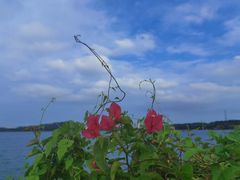 -露天矿生态公园