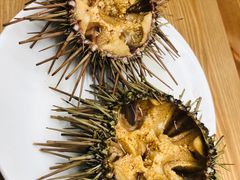 -海胆小馆(东北水饺·春柳店)