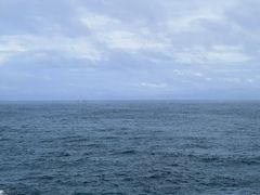 -广东惠东海龟国家级自然保护区