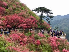 -木兰云雾山