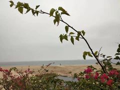 -玫瑰海岸文化旅游度假区