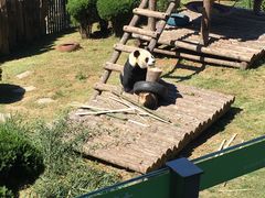 -大连森林动物园