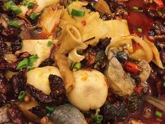 -黑竹香鸡(营和巷店)