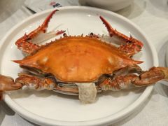 -开海·红岛海鲜虾水饺(石老人店)