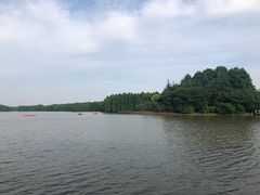 -上海海湾国家森林公园