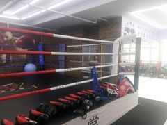 -津武堂散打搏击俱乐部(河西店)