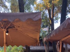 -大妙火锅·非物质文化遗产(东湖公园店)