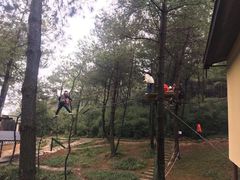 -梦幻奥陶纪景区