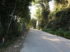 -红山村