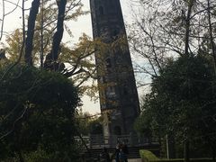 -上海佘山国家森林公园天马山园