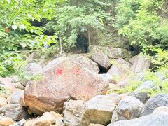 -石台牯牛降景区
