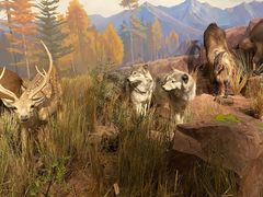 -陕西自然博物馆