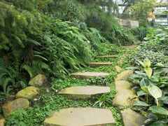 -南山植物园