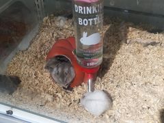 -山东嘉汇文化用品有限公司张店凤凰国际分公司(新村西路店)