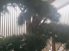 -新盈光·云会所(百丈东路店)