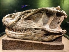 -自贡恐龙博物馆