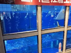 -老阿爸鲜鱼土菜(昆山花桥店)