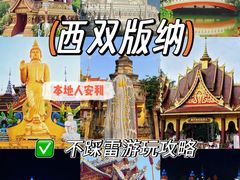 -西双版纳原始森林公园