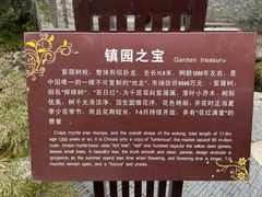 -朴园