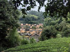 -杨家堂村