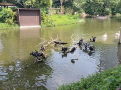 -深圳野生动物园