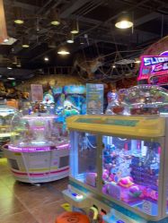 -卡通尼·Safari非洲探索乐园·生日会(金桥国际商业广场店)