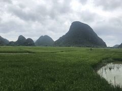 -会仙湿地