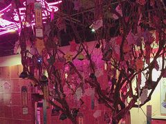 -长藤鬼校(观音桥店)