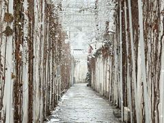 -青果巷历史文化街区