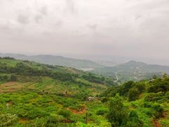 -桃源山庄·水蜜桃采摘·柴火鸡·烧烤团建(龙泉山店)
