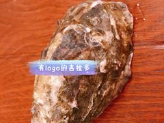 吉拉多-斯普汇生蚝牛排馆(中骏世界城店)