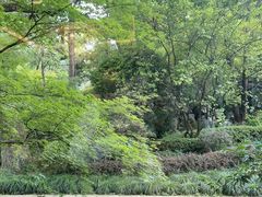 -浙江西子宾馆·瑶园咖啡厅