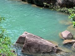 -广州白江湖森林公园