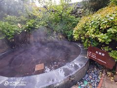 -仁爱团泊湖温泉中心