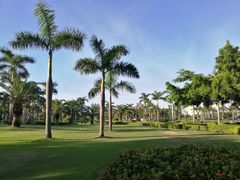 景点-白鹭洲公园