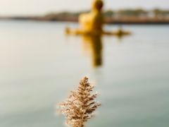 -野鸭湖国家湿地公园