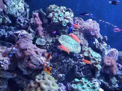 -成都浩海立方海洋公园