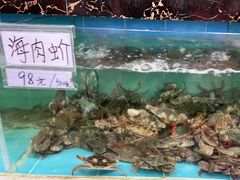 -源海渔村·现捞海鲜(大角湾店)