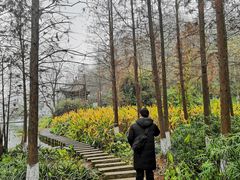 -重庆彩云湖湿地公园